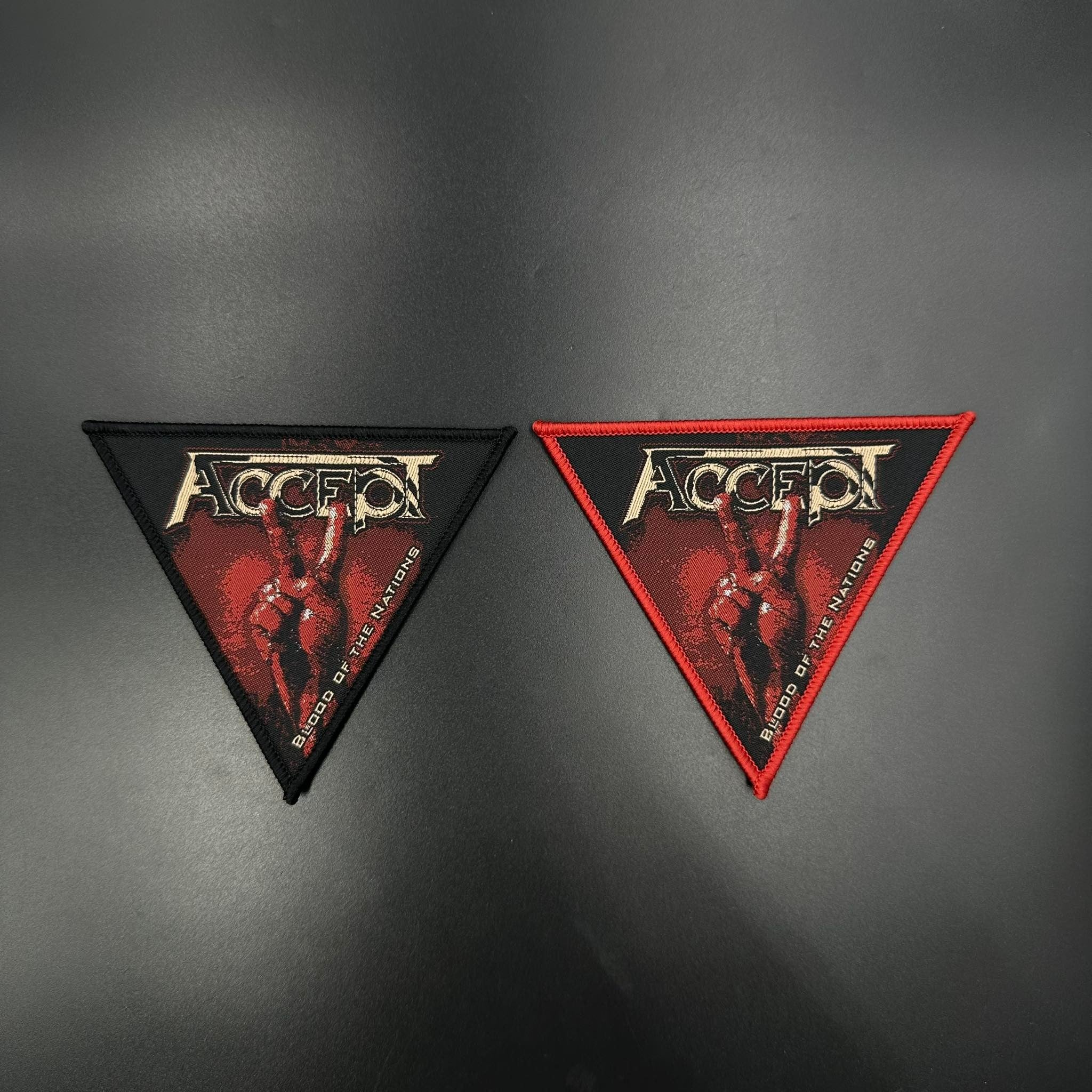 Accept - Blood of the Nations - Image 2