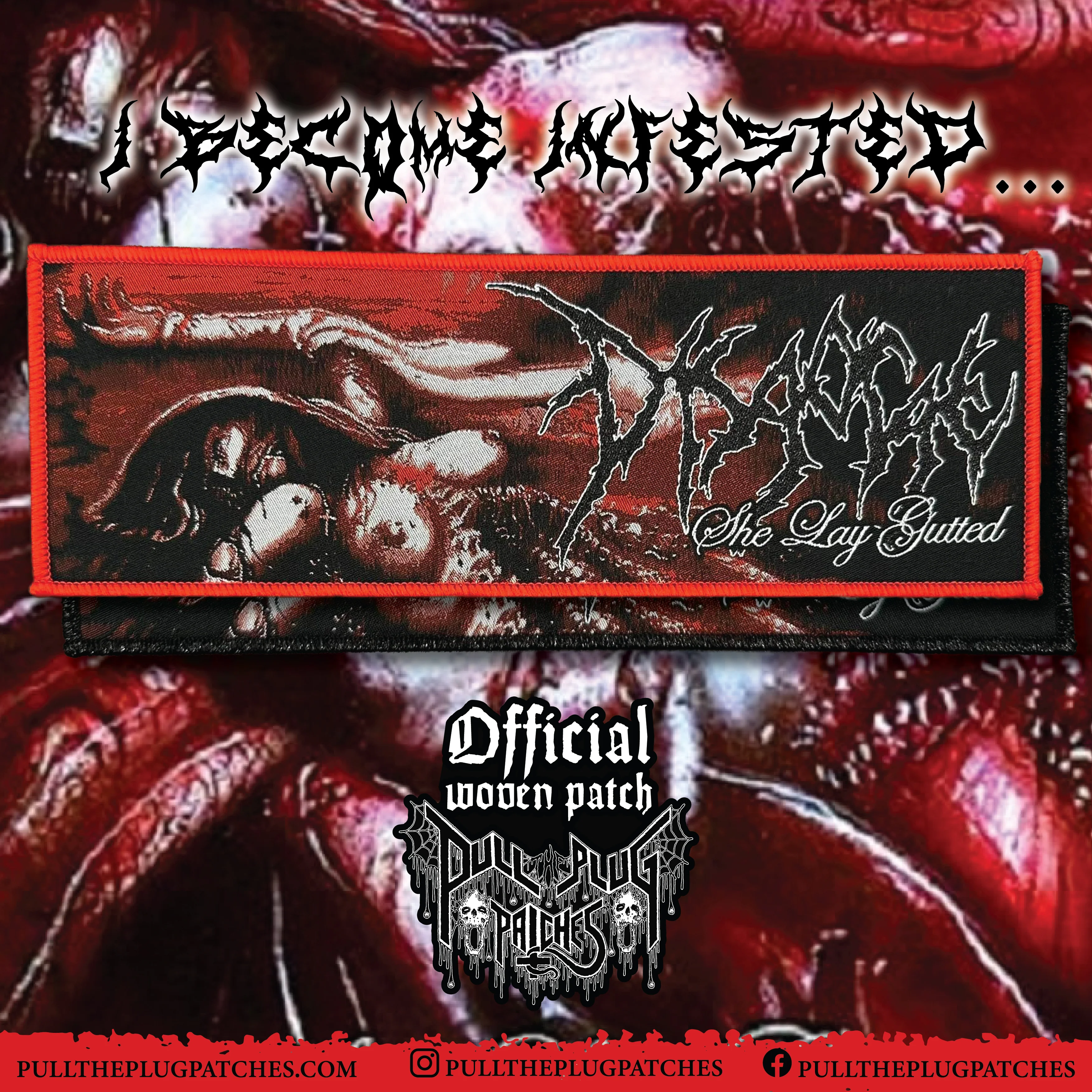 Disgorge - She Lay Gutted - Strip Patch